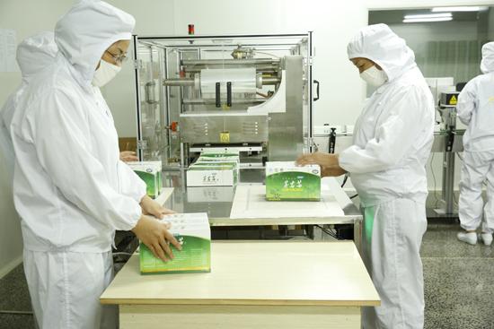 野生莓茶的功效与作用，张家界莓茶 健康的法宝