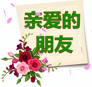 晚安，祝你好梦✨，晚安的高级表达方式（愿这份美好的问候带给你舒心一整晚图片）