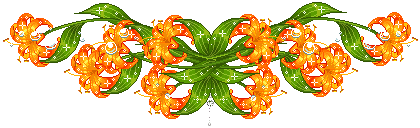 晚安，祝你好梦✨，晚安的高级表达方式（愿这份美好的问候带给你舒心一整晚图片）