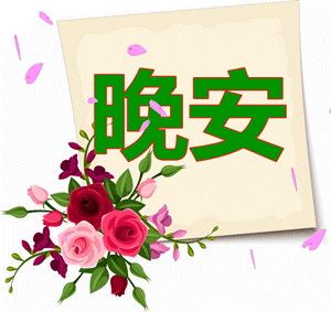 晚安，祝你好梦✨，晚安的高级表达方式（愿这份美好的问候带给你舒心一整晚图片）