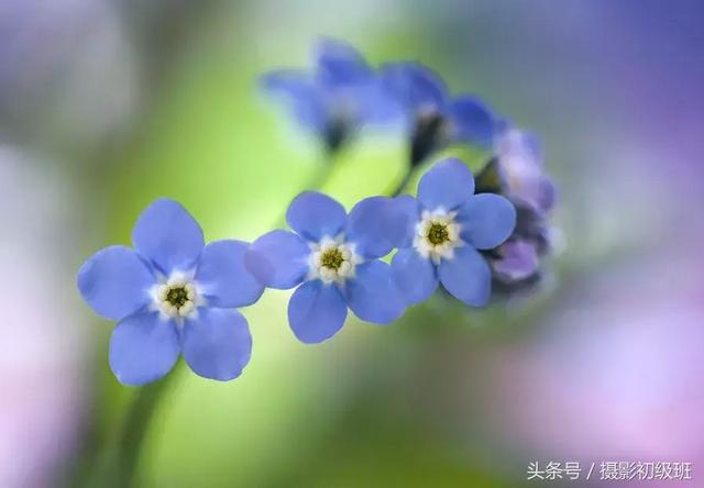 光圈和景深的关系，单反拍照光圈与景深的关系（景深和它的决定因素）