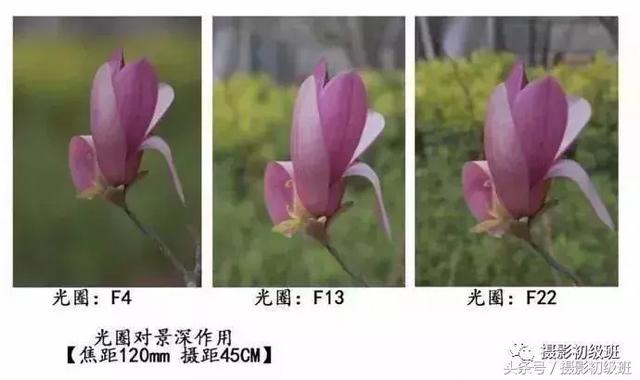 光圈和景深的关系，单反拍照光圈与景深的关系（景深和它的决定因素）