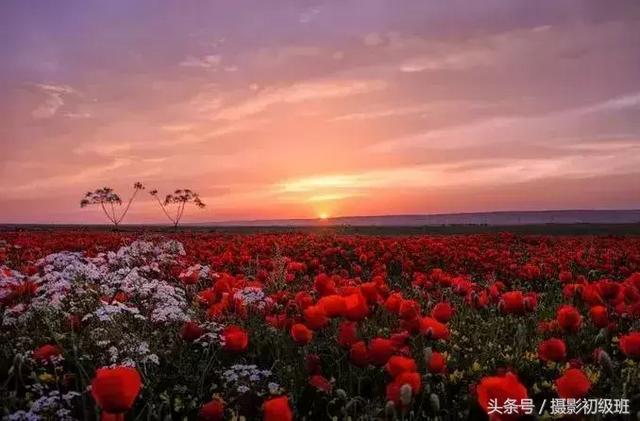 光圈和景深的关系，单反拍照光圈与景深的关系（景深和它的决定因素）