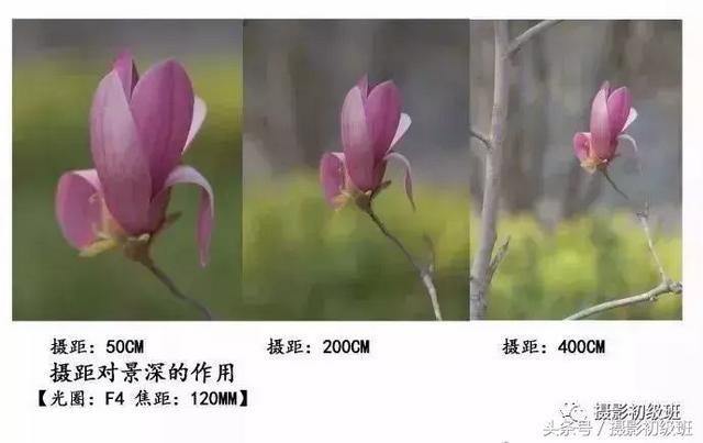 光圈和景深的关系，单反拍照光圈与景深的关系（景深和它的决定因素）