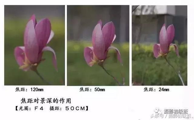 光圈和景深的关系，单反拍照光圈与景深的关系（景深和它的决定因素）