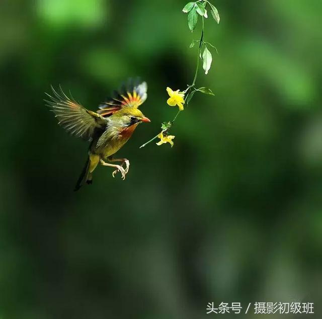 光圈和景深的关系，单反拍照光圈与景深的关系（景深和它的决定因素）