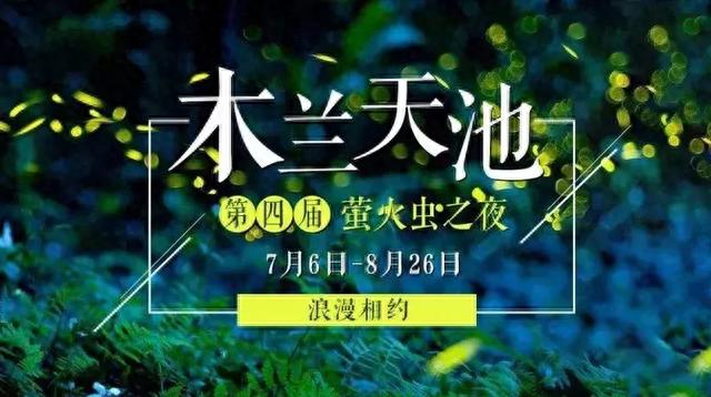 点亮武汉萤火虫之夜,主题公园、玻璃天桥,夏天你想玩的都在这里