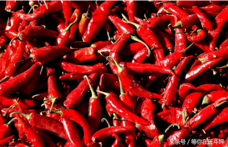 湖北美食榨广椒怎么做，湖北榨广椒蒸肉的做法（最美三斗坪之特色榨广椒）