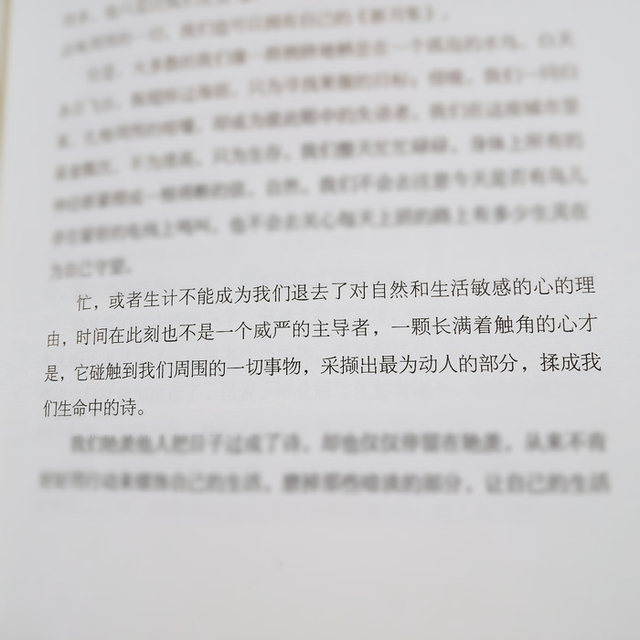 不问归期是什么意思，风行万里不问归期什么意思（不问对错）