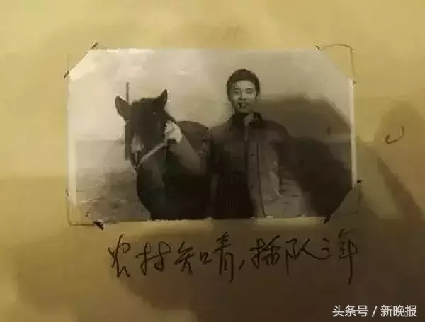 手机崔永元范冰冰，手机崔永元（崔永元为什么不骂葛优）