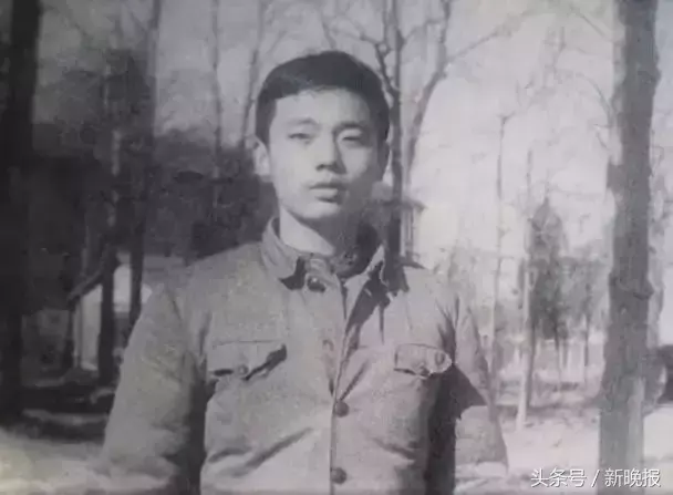 手机崔永元范冰冰，手机崔永元（崔永元为什么不骂葛优）