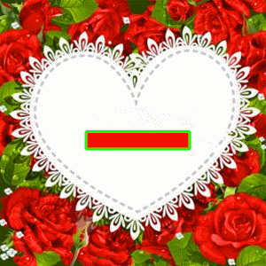 这一生最美的祝福，这一生最美的祝福歌词（最美的祝福送给你和你的家人）