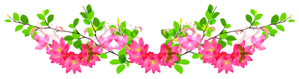 这一生最美的祝福，这一生最美的祝福歌词（最美的祝福送给你和你的家人）