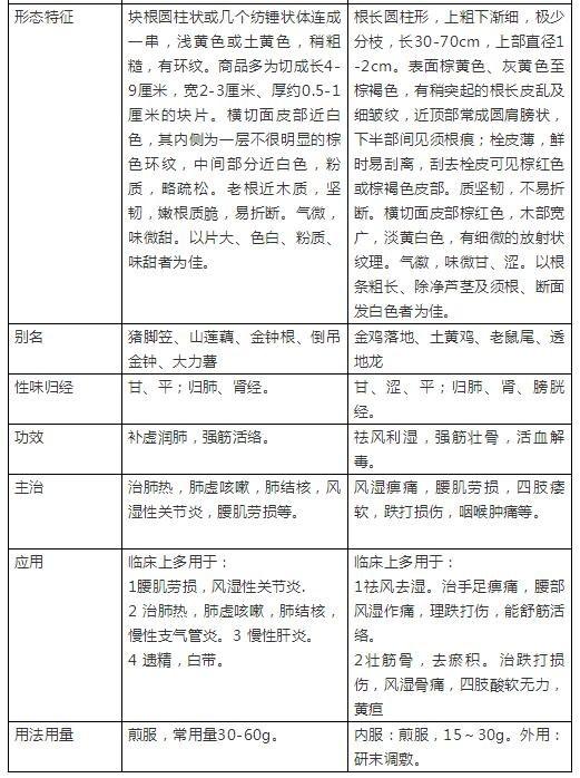 牛大力的功效与食用方法，牛大力的功效与食用方法及禁忌（牛大力和千斤拨怎么吃最好）