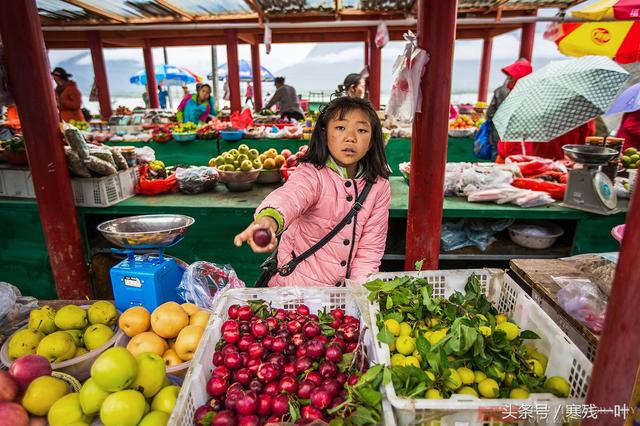 藏红花是哪里产的，藏红花哪里的（藏红花原来不是产自西藏）
