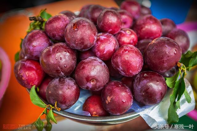 藏红花是哪里产的，藏红花哪里的（藏红花原来不是产自西藏）