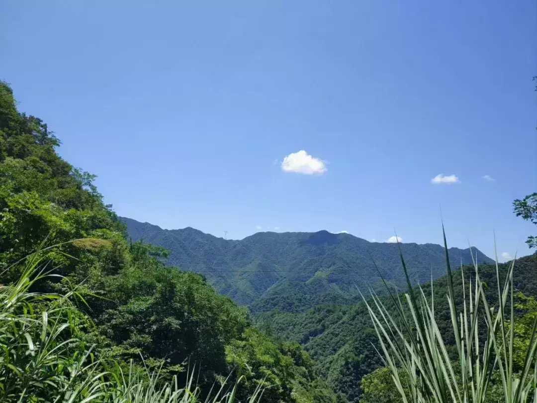 调解书再审申请的法律规定（调解书事实重大错误能否申请再审）