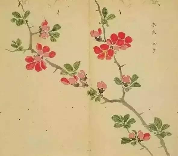 忾怎么读，忾怎么读同仇敌忾（《诗经》里的植物）