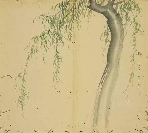 忾怎么读，忾怎么读同仇敌忾（《诗经》里的植物）