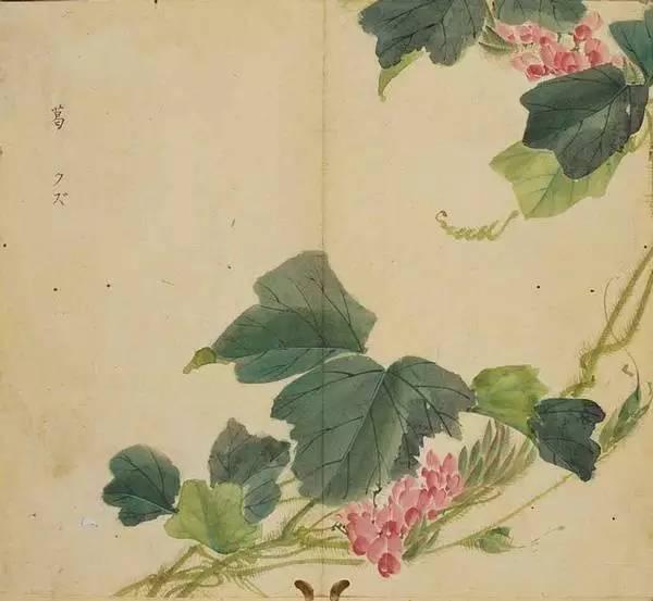 忾怎么读，忾怎么读同仇敌忾（《诗经》里的植物）