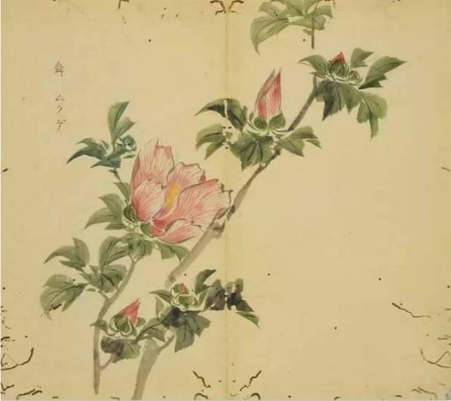 忾怎么读，忾怎么读同仇敌忾（《诗经》里的植物）