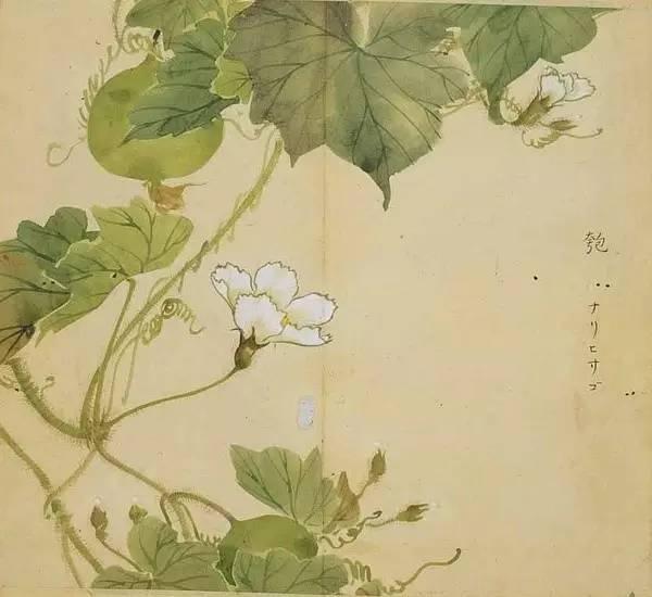 忾怎么读，忾怎么读同仇敌忾（《诗经》里的植物）