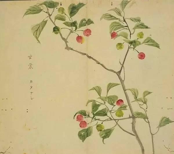 忾怎么读，忾怎么读同仇敌忾（《诗经》里的植物）