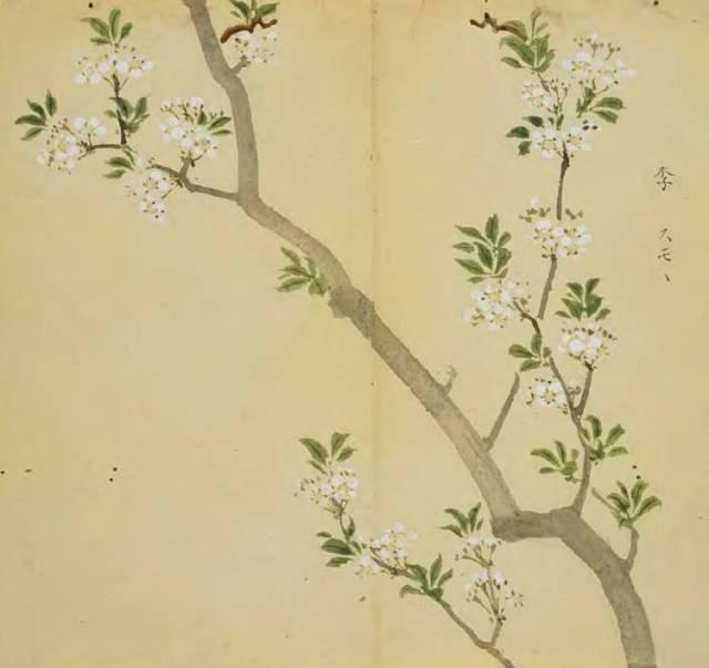 忾怎么读，忾怎么读同仇敌忾（《诗经》里的植物）