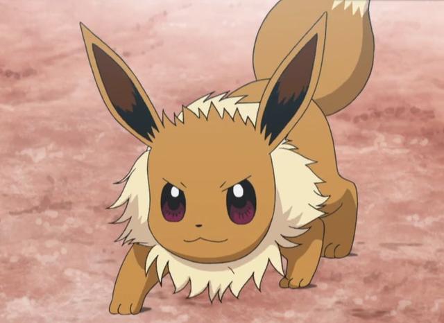 意想不到的强大神奇宝贝，强大到能以一敌多的神奇宝贝