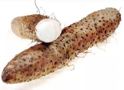 五指毛桃煲汤大全，用五指毛桃煲汤怎么煲才好喝（干了这碗养生汤）