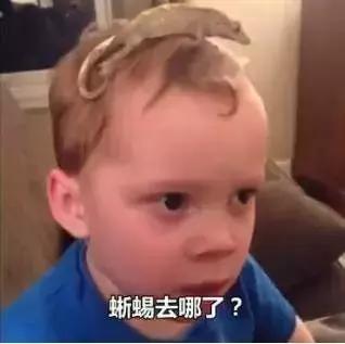 snicker,表示笑的英语词语(16种“笑”怎么表达) snicker,表示笑的英语词语(16种“笑”怎么表达)