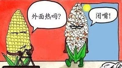 中暑了怎么办快速恢复，中暑了怎么办快速恢复土方法视频（介绍你一套有效的急救方法）