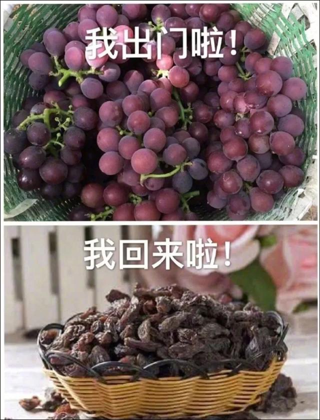 商丘为什么叫商丘，柘城为什么叫柘城啊（商丘马上要“改名”了）
