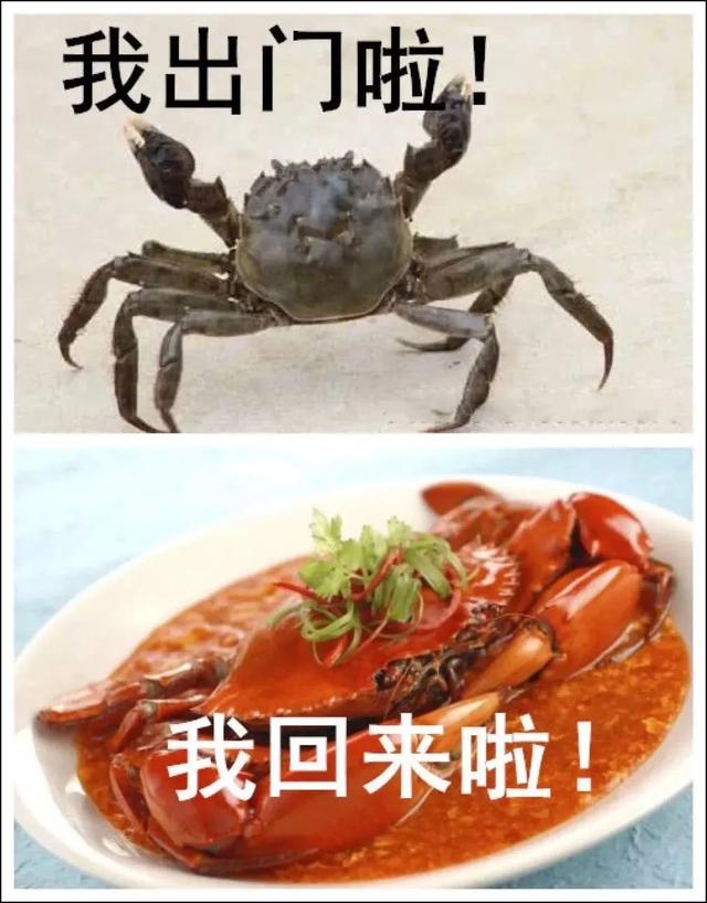 商丘为什么叫商丘，柘城为什么叫柘城啊（商丘马上要“改名”了）