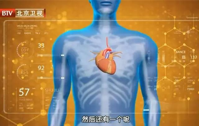 冬瓜荷叶茶的功效，白芸豆冬瓜荷叶茶的功效（祛暑热、消水肿、健脾胃、护血管……）