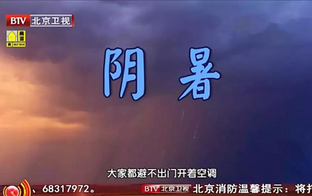 冬瓜荷叶茶的功效，白芸豆冬瓜荷叶茶的功效（祛暑热、消水肿、健脾胃、护血管……）