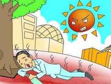 冬瓜荷叶茶的功效，白芸豆冬瓜荷叶茶的功效（祛暑热、消水肿、健脾胃、护血管……）