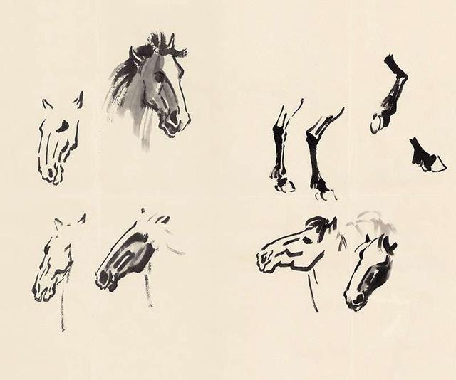 徐悲鸿画马技法，徐悲鸿马画法图（第一次看徐悲鸿画马的过程）