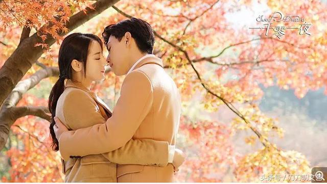 艰难爱情第二部小说，艰难爱情第二部结局（《一千零一夜》被嘲烂尾）