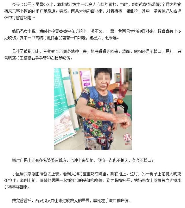 茶杯犬为什么不能养 ，茶杯犬到底能不能养（带娃在外如何避免被咬）