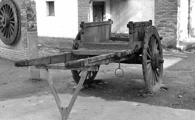 丁书苗投资的电视剧，姓蒋还是姓汪是什么意思（请爱护濒临灭绝的煤老板）