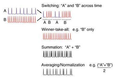 multiplexing的解释及multiplexing的例句，multiple用法（大脑是如何编码复杂信息的）