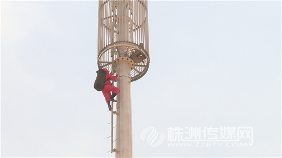 打死一只马蜂每天都有马蜂，打死一只马蜂每天都有马蜂吗（高空信号塔上防卫拍了一只马蜂）