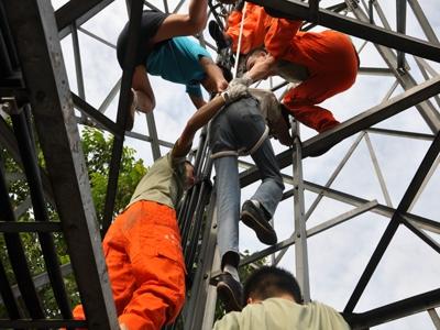 打死一只马蜂每天都有马蜂，打死一只马蜂每天都有马蜂吗（高空信号塔上防卫拍了一只马蜂）