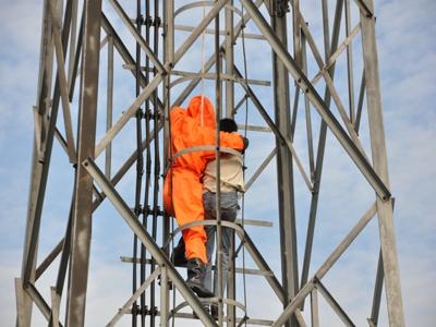 打死一只马蜂每天都有马蜂，打死一只马蜂每天都有马蜂吗（高空信号塔上防卫拍了一只马蜂）