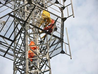 打死一只马蜂每天都有马蜂，打死一只马蜂每天都有马蜂吗（高空信号塔上防卫拍了一只马蜂）