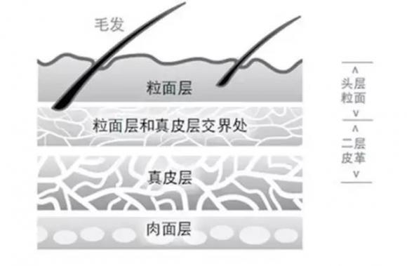 纳帕皮是什么材质，纳帕皮和头层牛皮哪种最好（Nappa、Alcantara不是真皮）