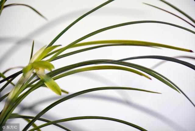 唐宋八大家速记口诀，唐宋八大家是（老师用这样的方式记忆文化常识）