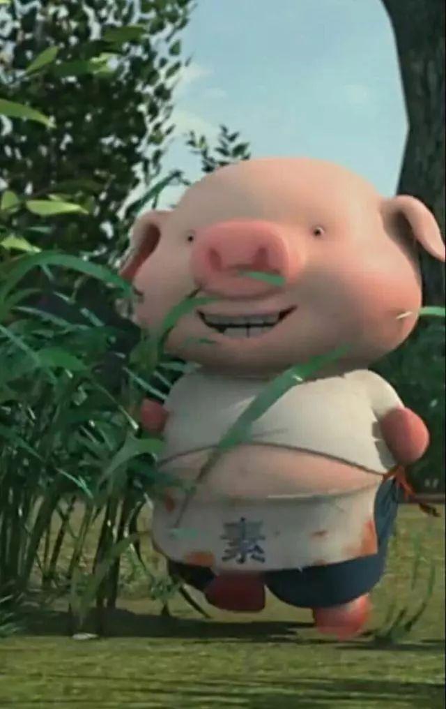 猪的幽默称呼，古代的猪都有哪些叫法么（猪的幽默称呼英文）