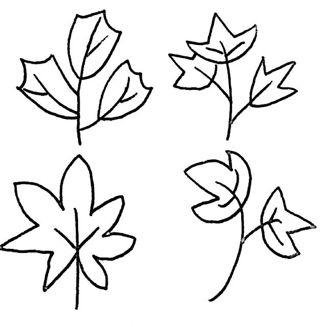 怎样画树叶简单画法,树叶画法(几笔就能画出各种叶子的简笔画)